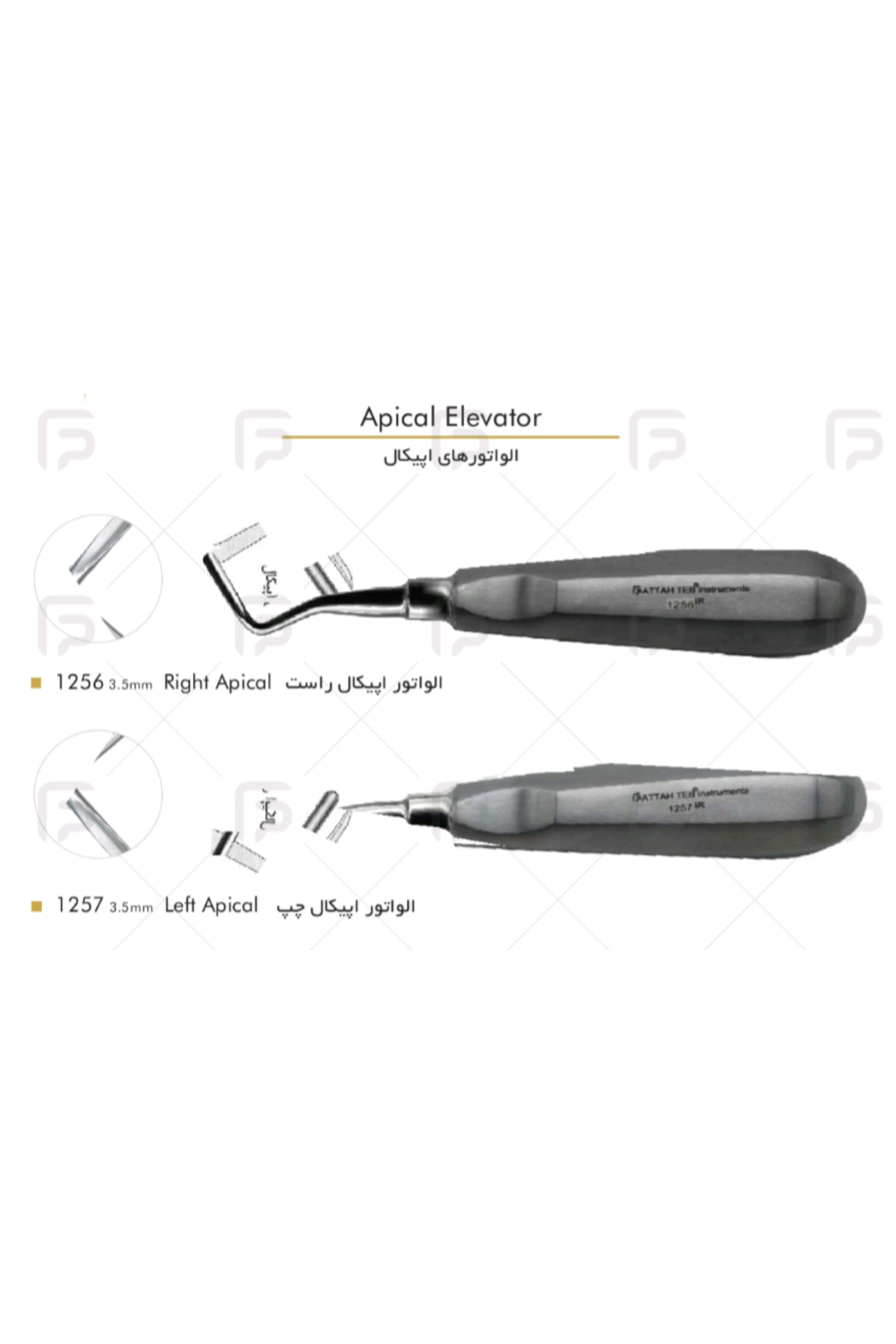 الواتور اپیکال (استیل فرانسوی) - فتاح طب